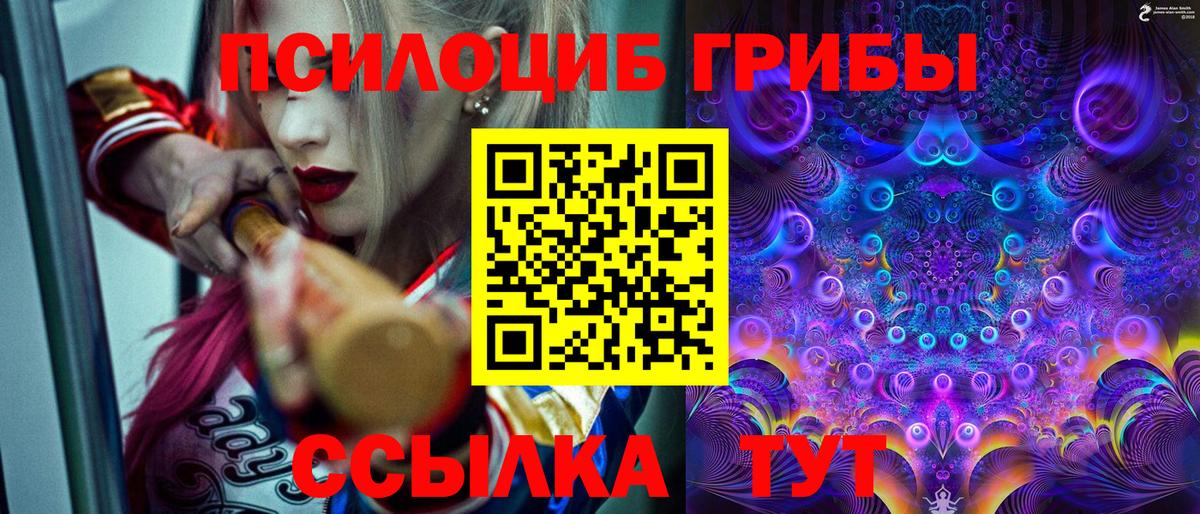 Галлюциногенные грибы Psilocybine cubensis Орёл