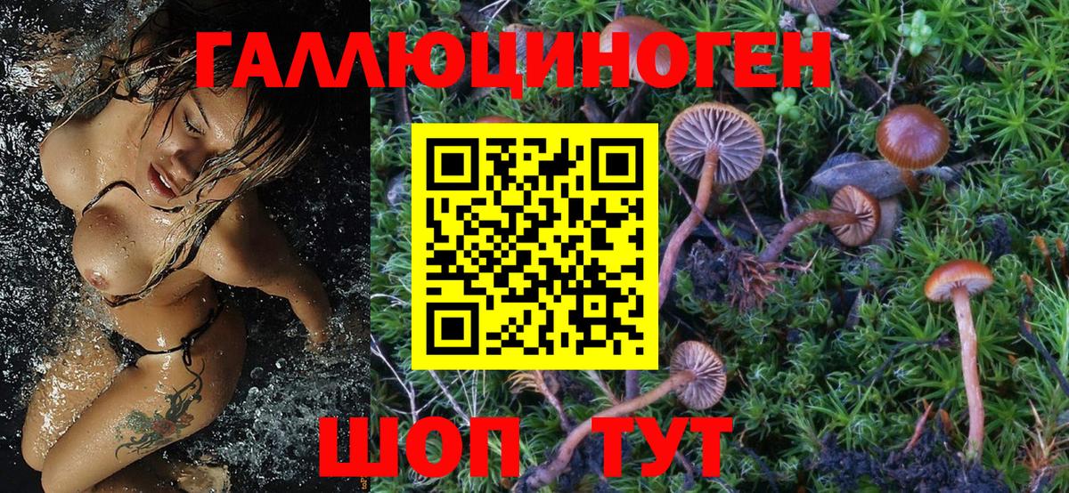 закладка  Галлюциногенные грибы Psilocybine cubensis  Вход с VPN  Орёл  Псилоцибиновые грибы ЛСД 